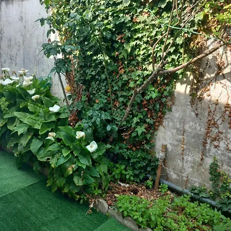 Appartement La Maison De Didier